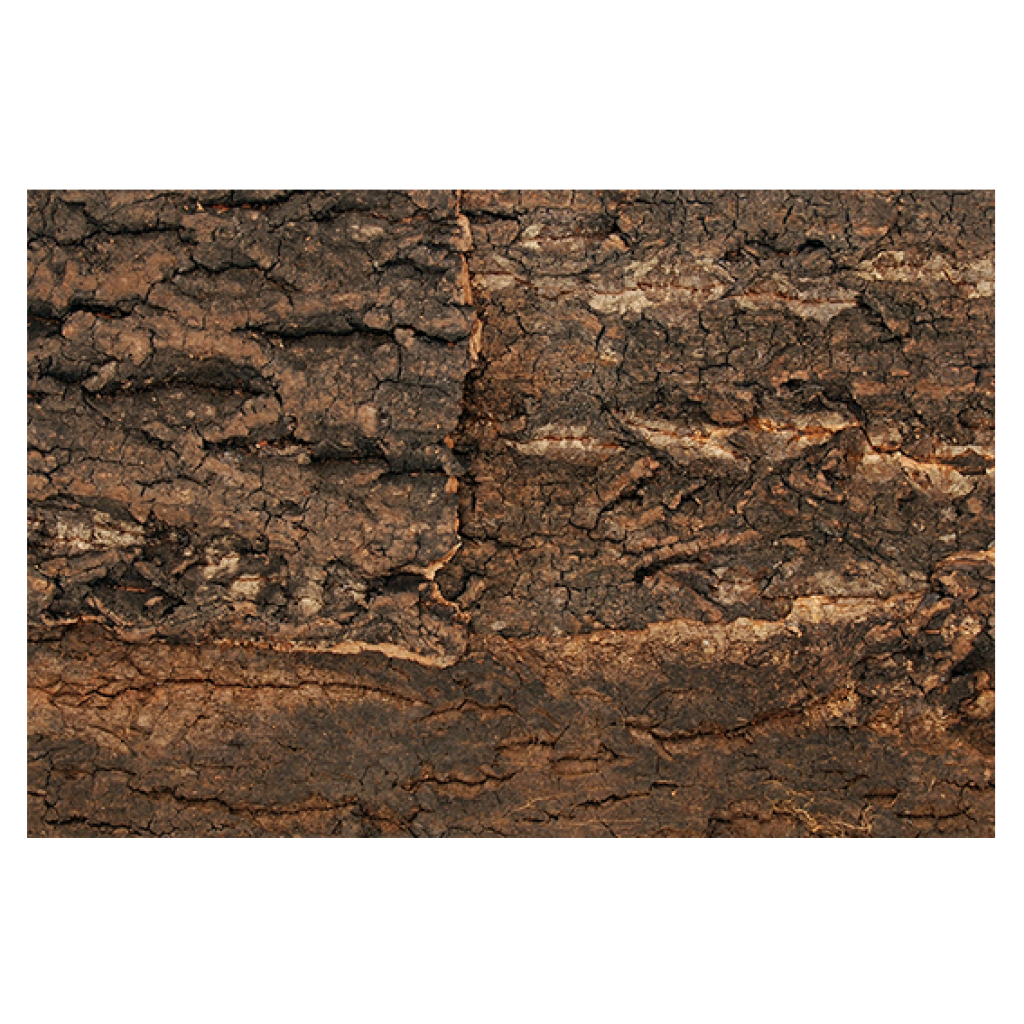 Natural Cork Background (Kork-Rückwand)